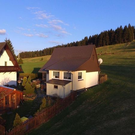 Modernes Ferienhaus In Carlsfeld Mit Grill Und Garten Eibenstock Eksteriør billede